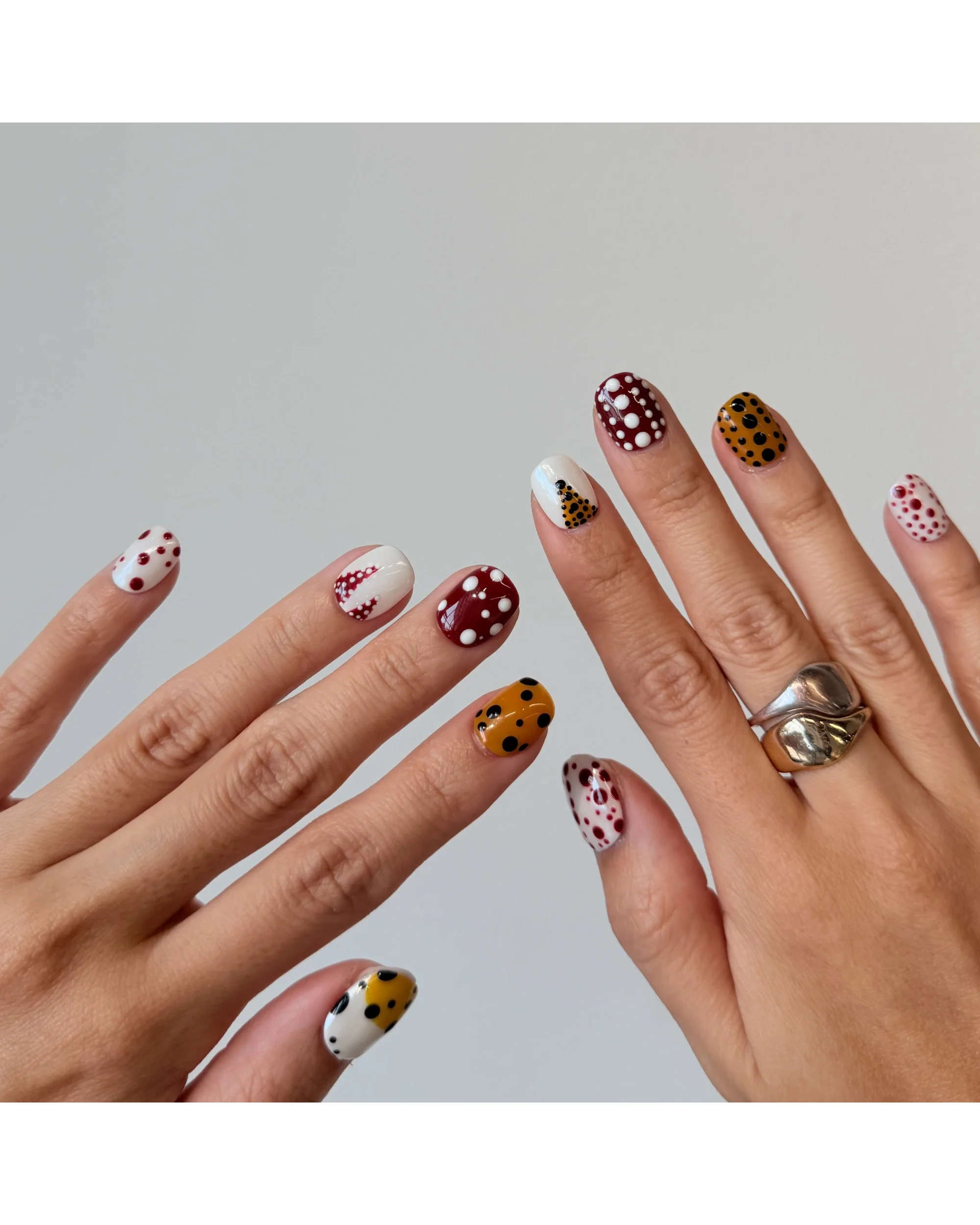 Polka - Image 2