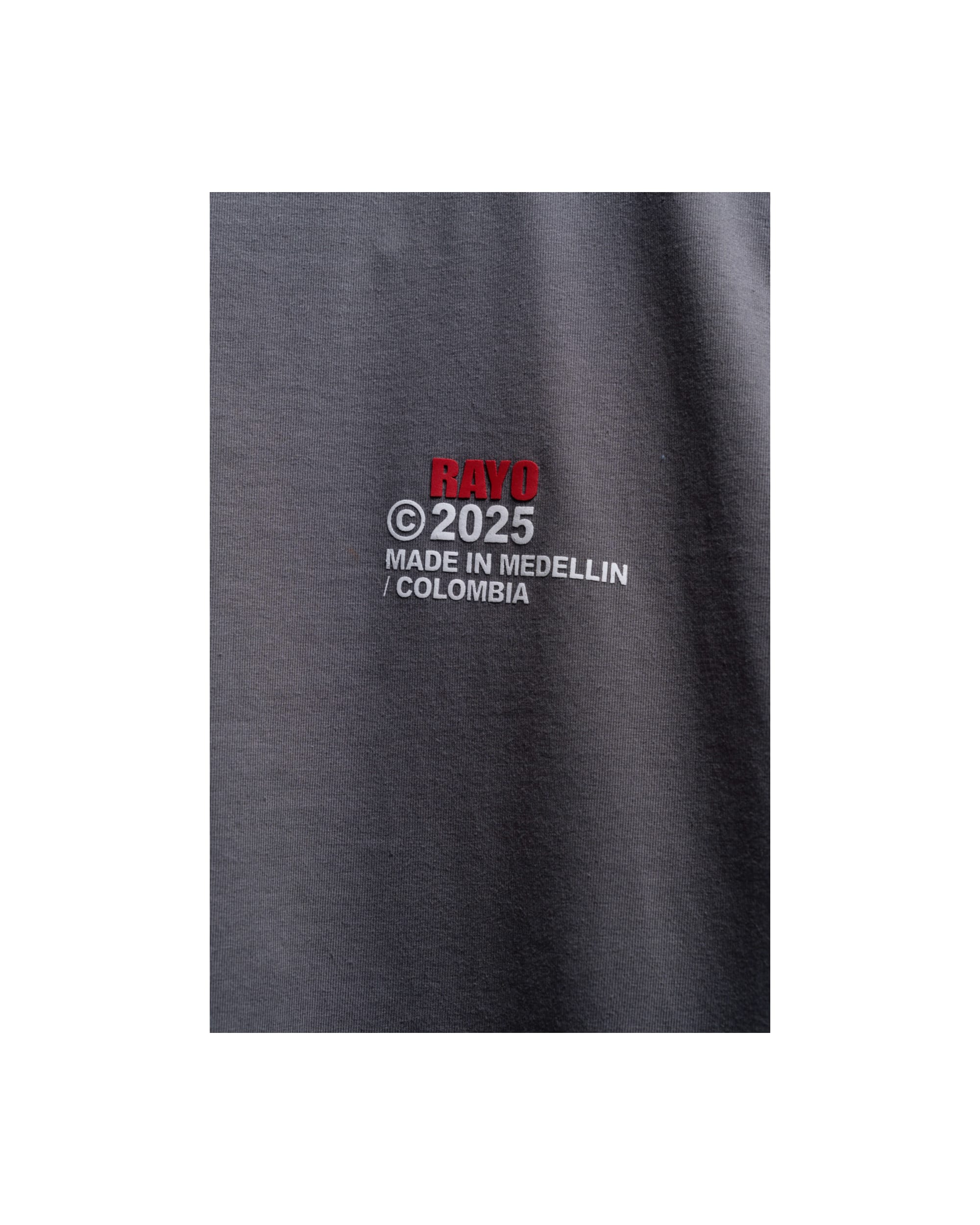 RAYO TOUR 2025 GREY T-SHIRT - Image 4