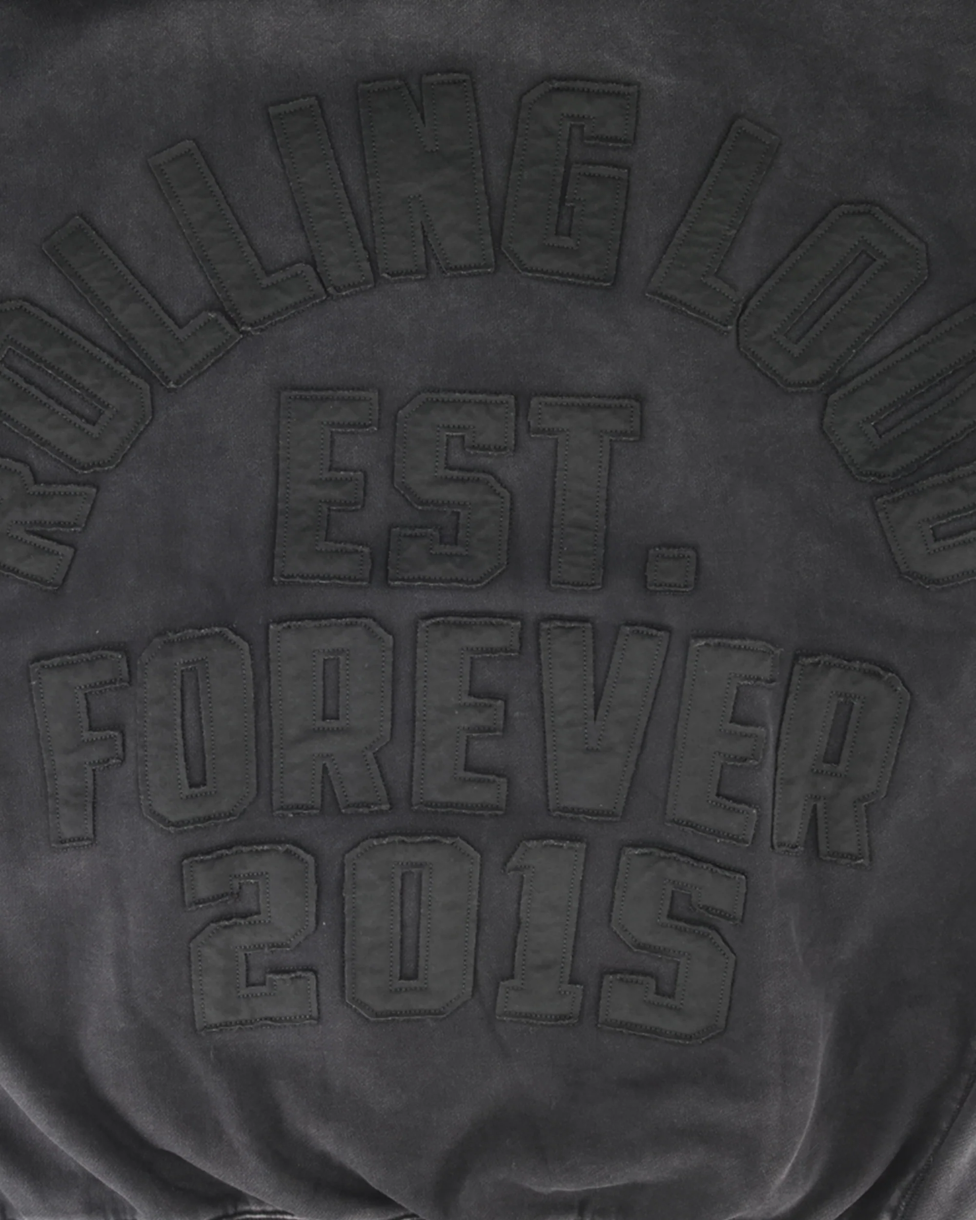 RL APPLIQUE HOODIE - Image 4