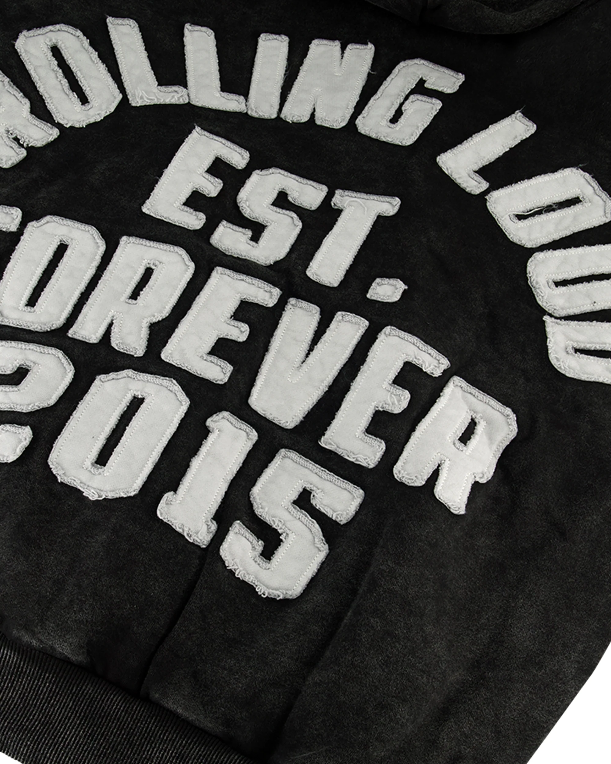 RL APPLIQUE ZIP UP HOODIE - Image 5