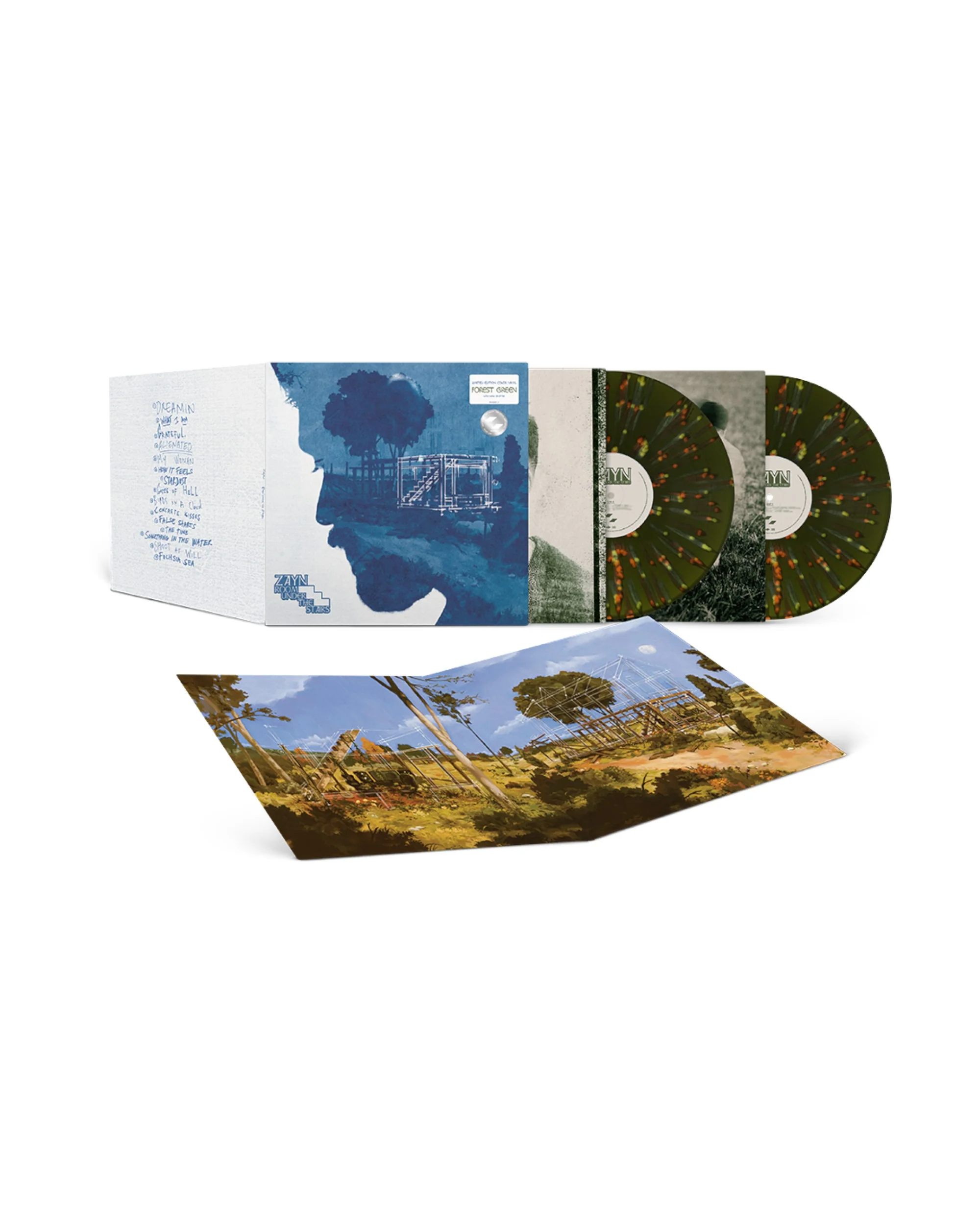 Room Under The Stairs 2LP (First Edition Vinyl)