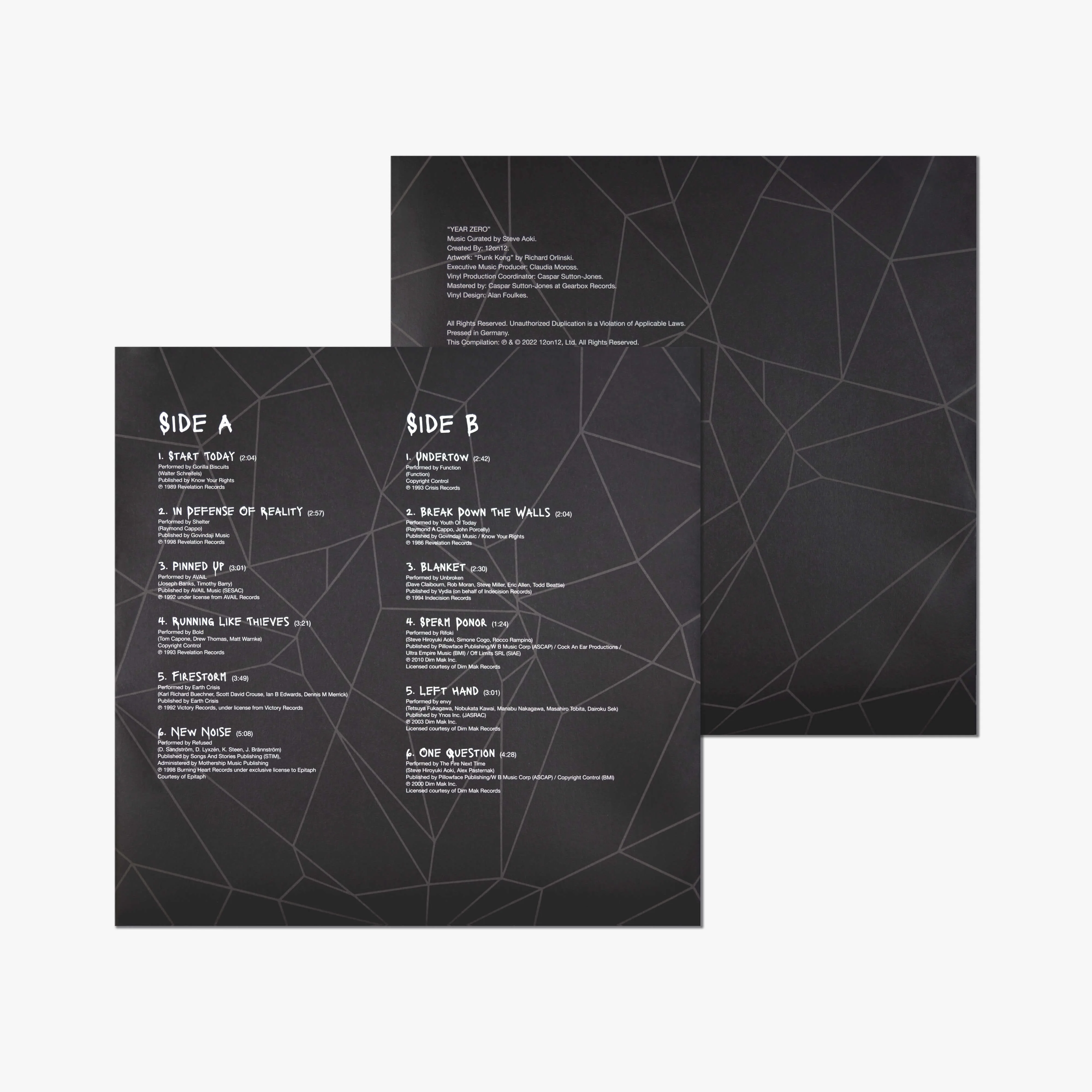 Steve Aoki x Richard Orlinski Vinyl Record - Image 14