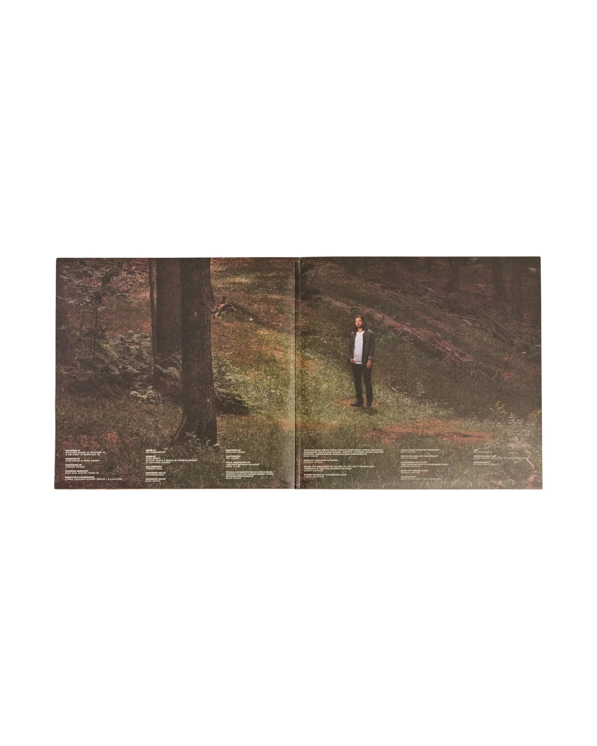 Stick Season Vinyl (Standard Black) - Image 3