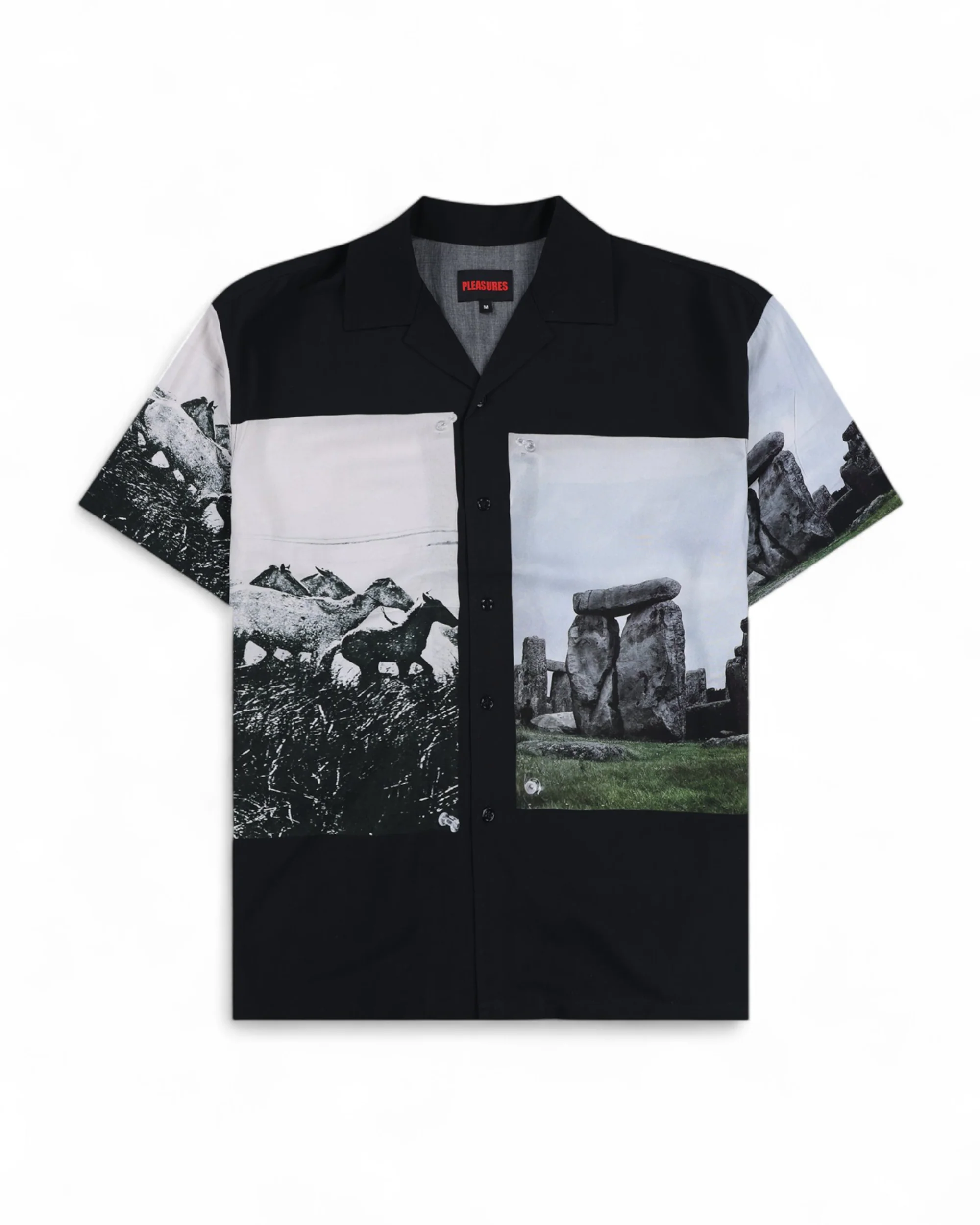 STONE HORSE BUTTON DOWN