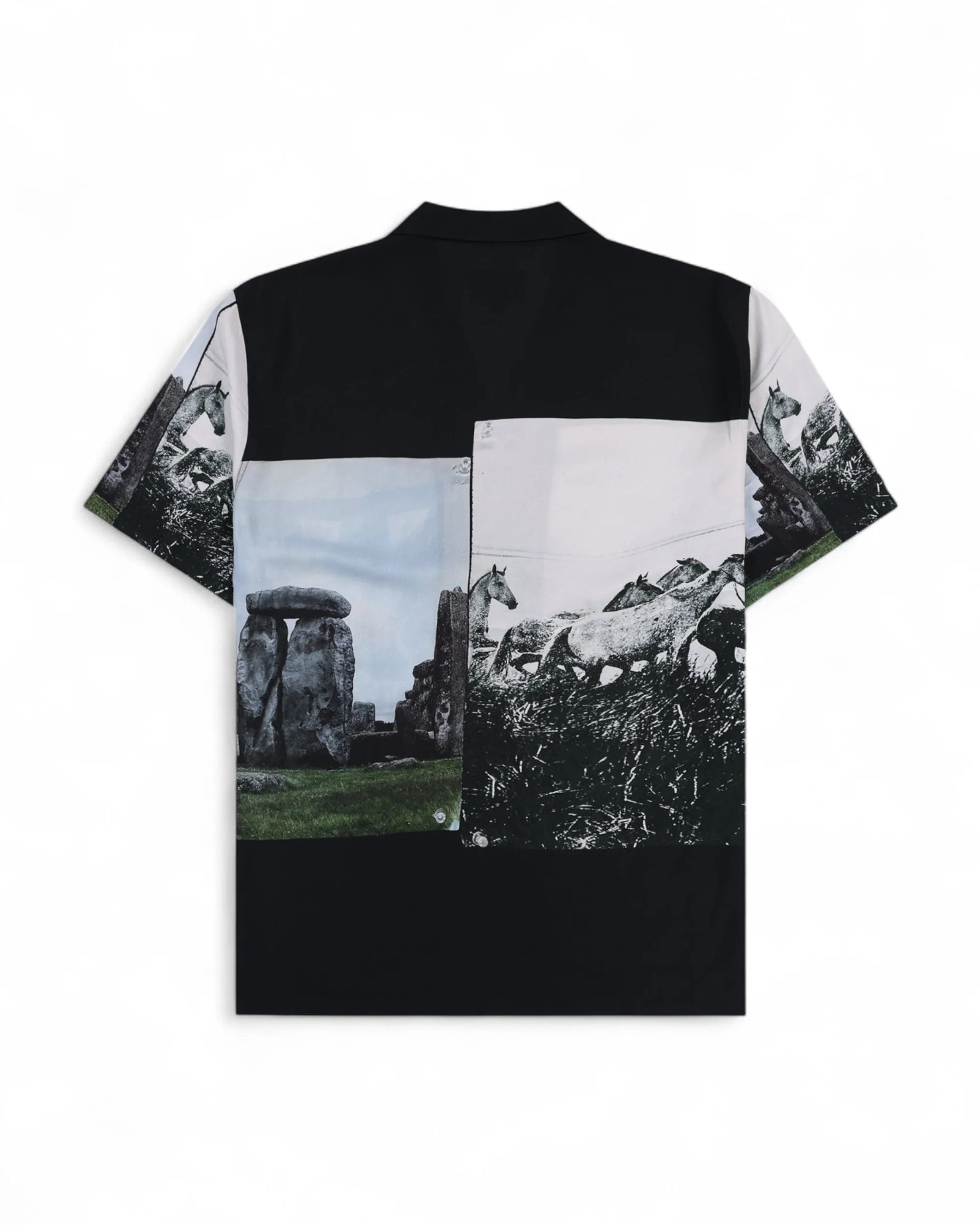 STONE HORSE BUTTON DOWN - Image 4