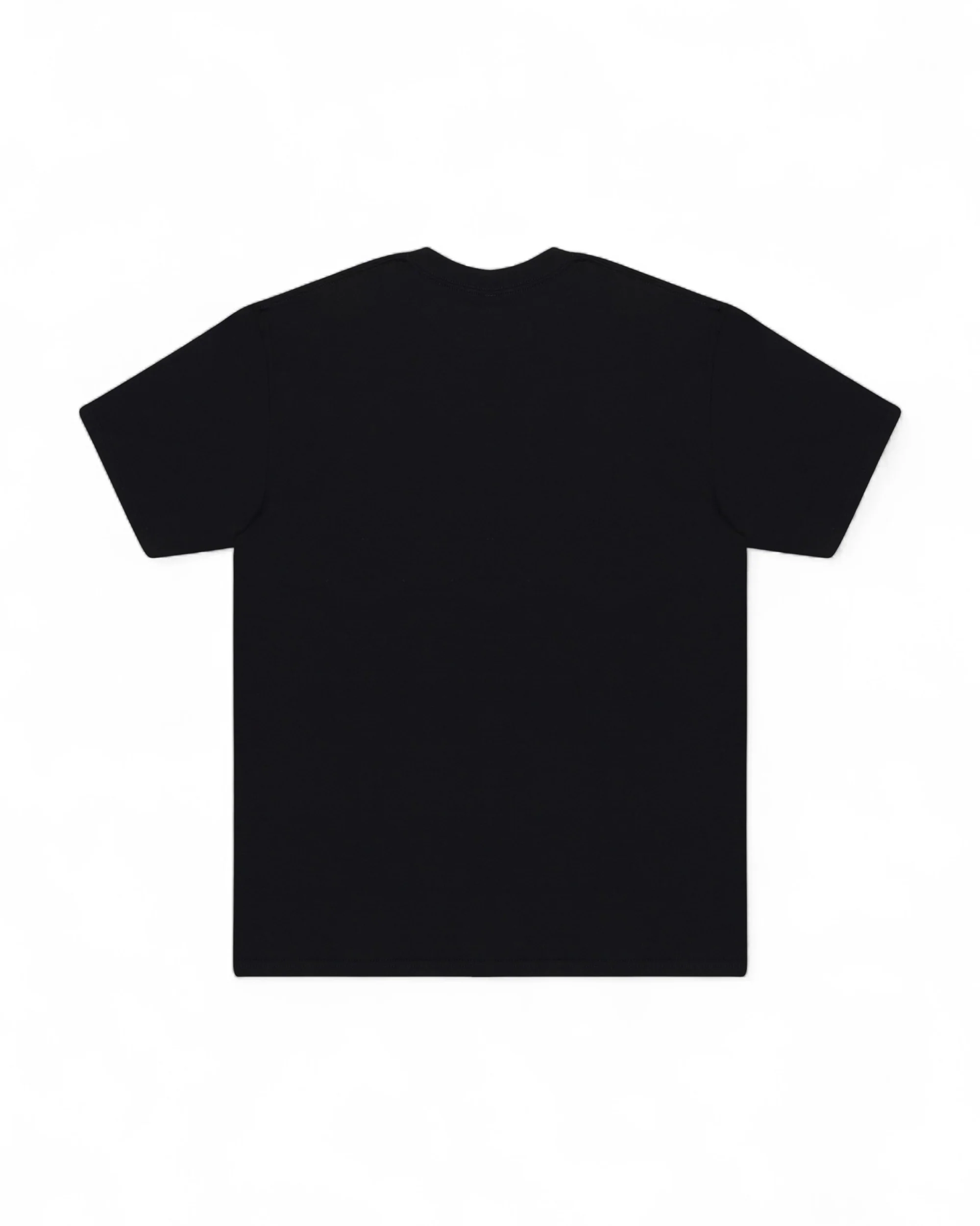 THE ALBUMS TEE - Image 2