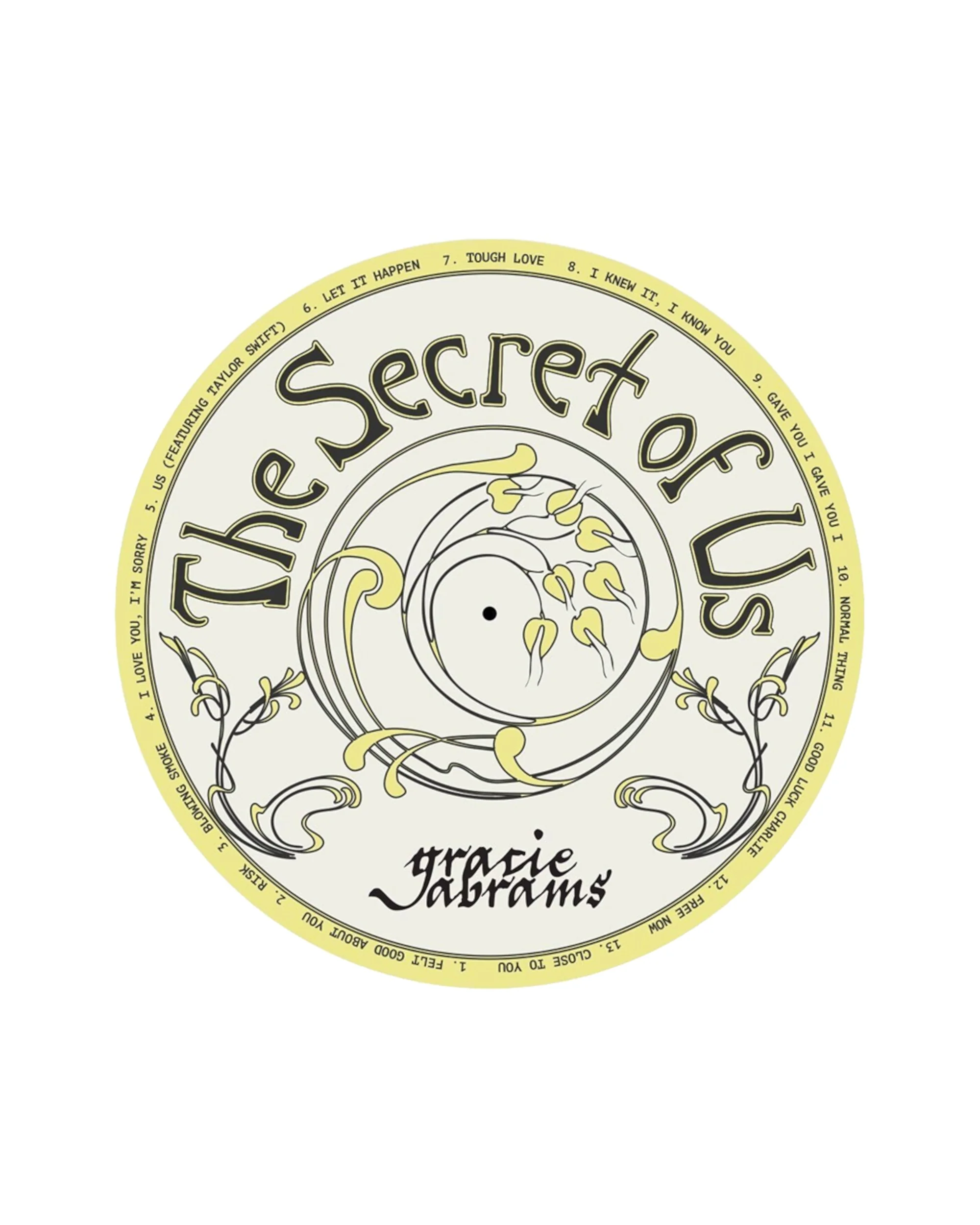 The Secret of Us Vinyl Slip-Mat