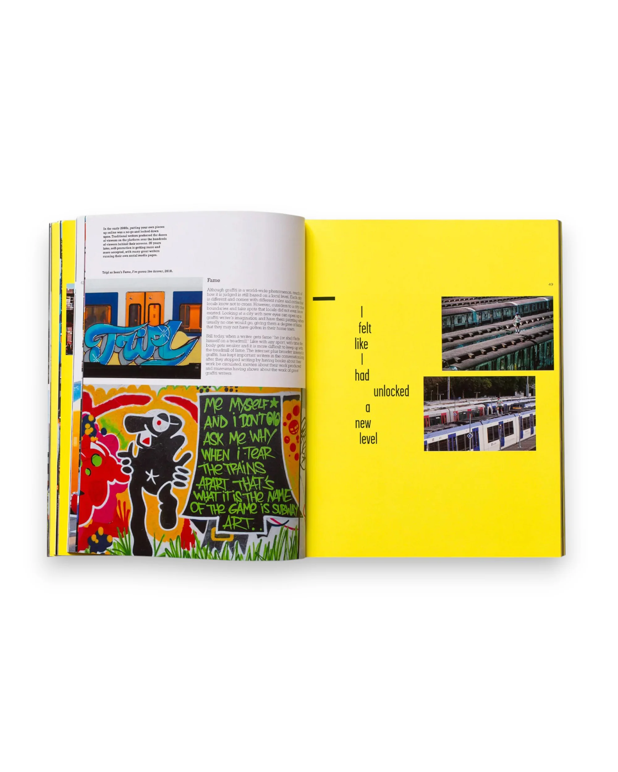 TRIPL a.k.a. FURIOUS "Repainting Subway Art" Book - Image 10