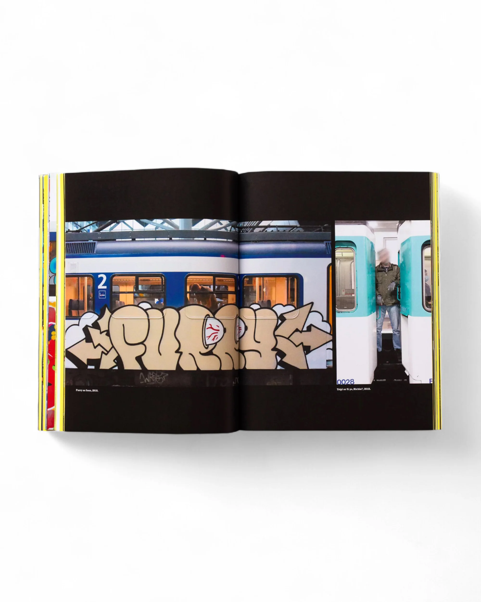 TRIPL a.k.a. FURIOUS "Repainting Subway Art" Book - Image 5