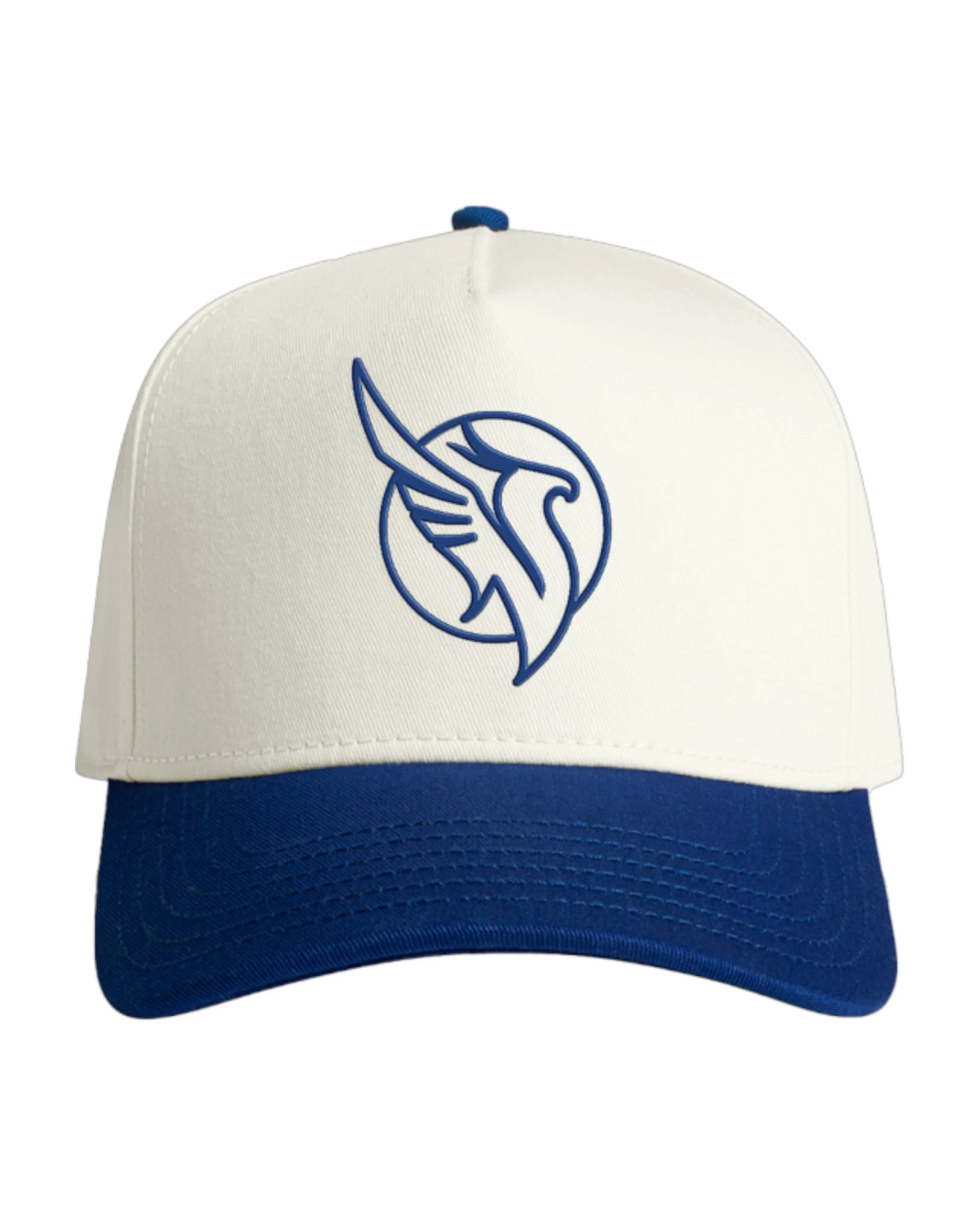 TWO TONE HAT
