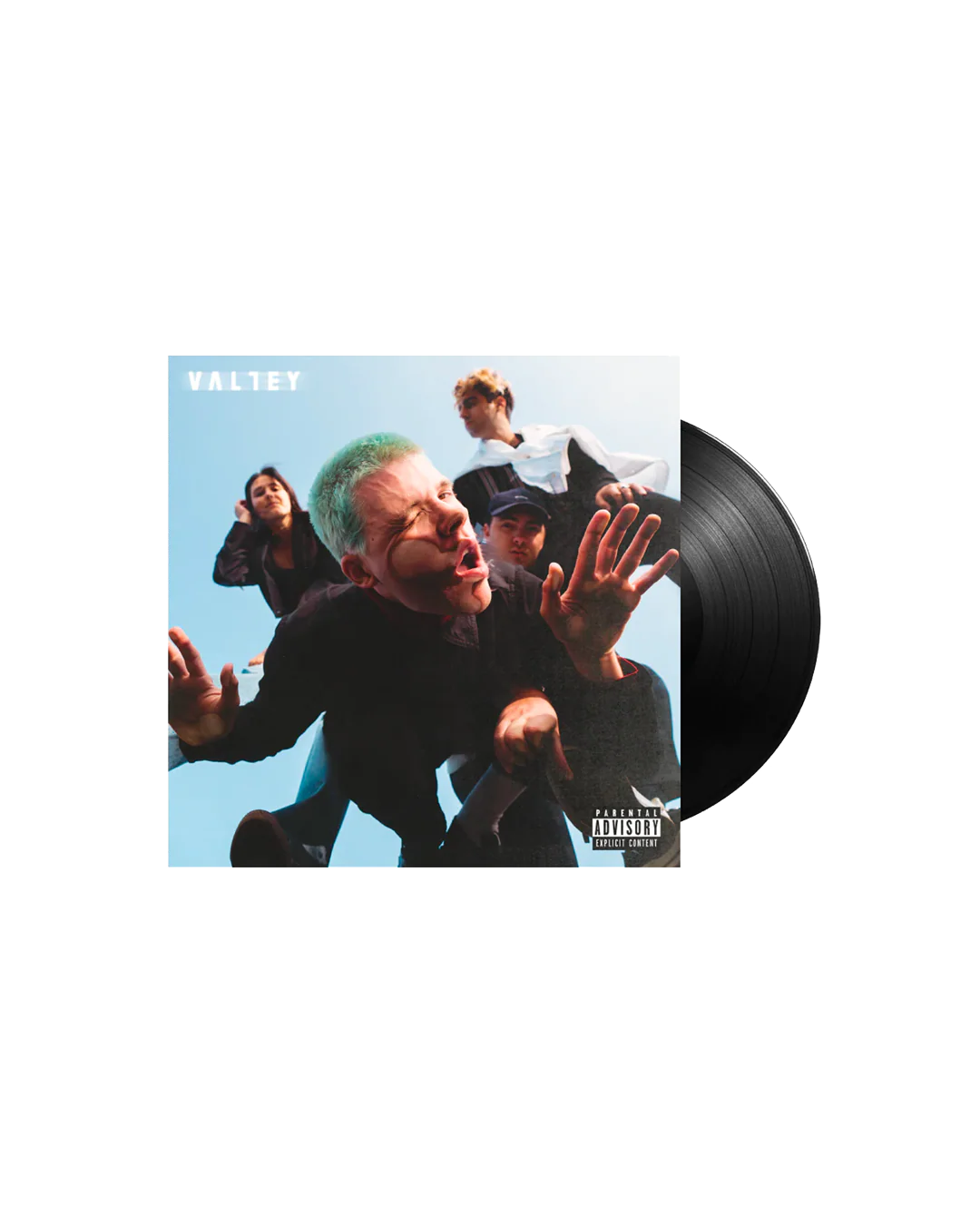 Valley - sucks to see you doing better - Standard Black Vinyl