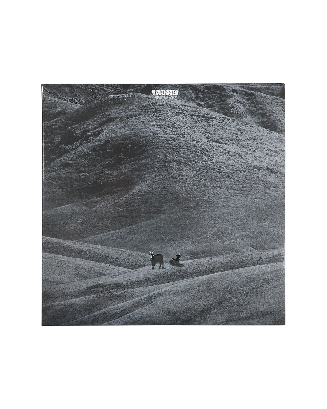 WHY LAWD? 2LP VINYL (AUDIOPHILE EDITION) - Image 4