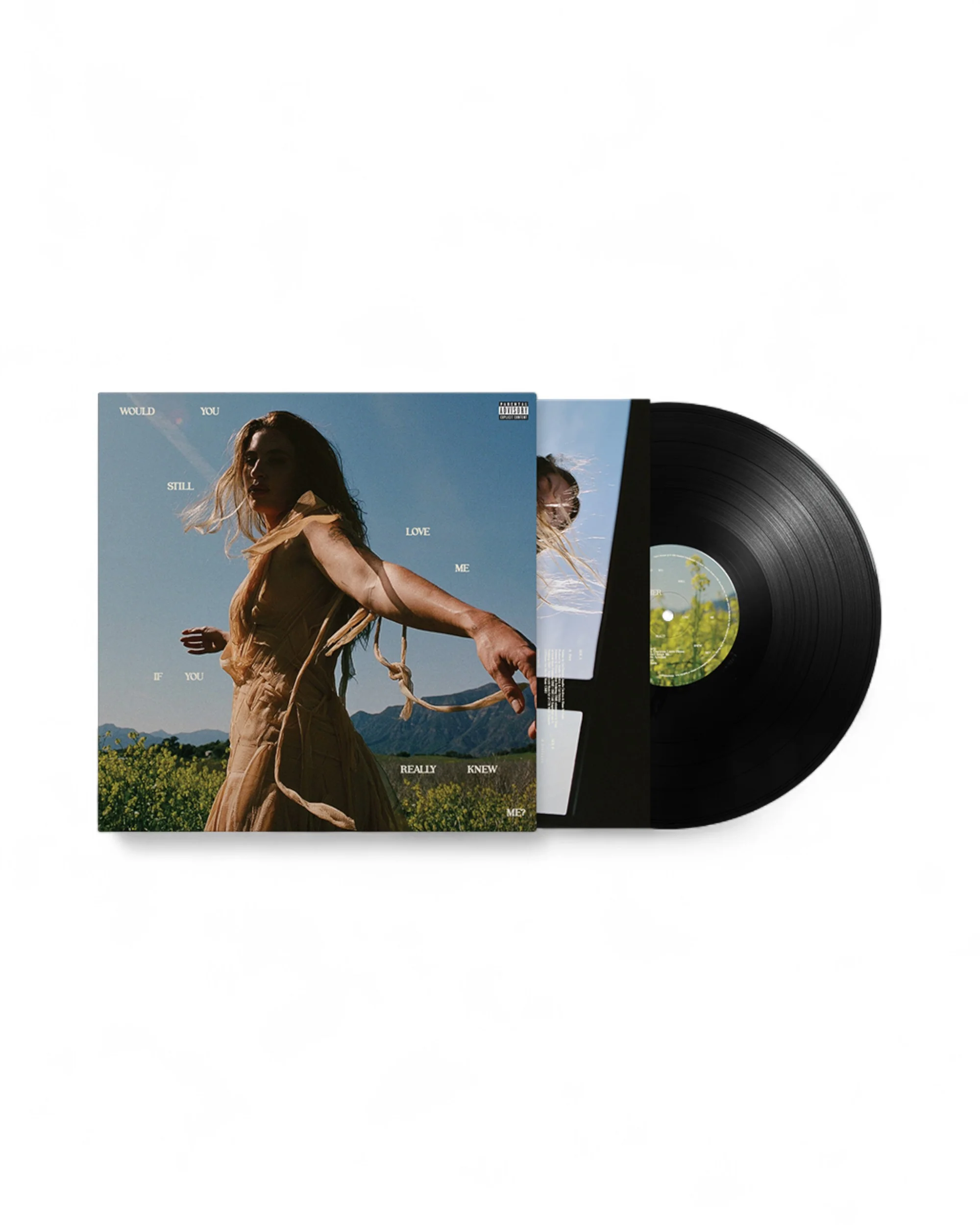 Would You Still Love Me If You Really Knew Me? Vinyl