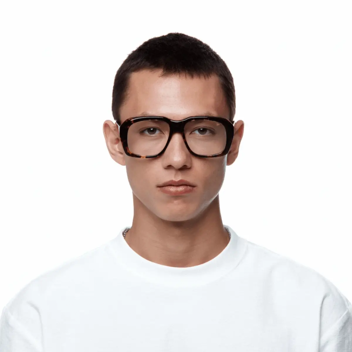 XXL Tortoise Edition Brown Acetate - Image 10